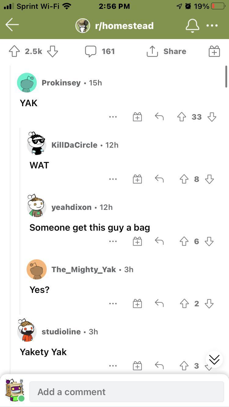 on-a-video-of-a-cow-with-a-fluffy-tail-apparently-a-yak-r