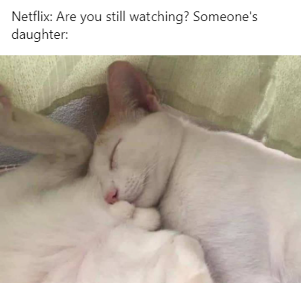 wholesome cats Netflix Are You Still Watching? Someone's Daughter