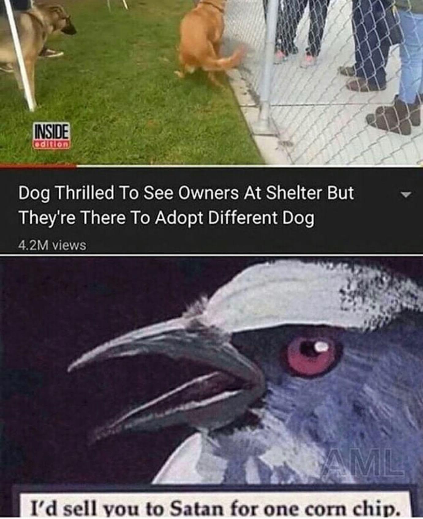 Straight to the pits of hell. I'd Sell You To Satan For One Corn Chip