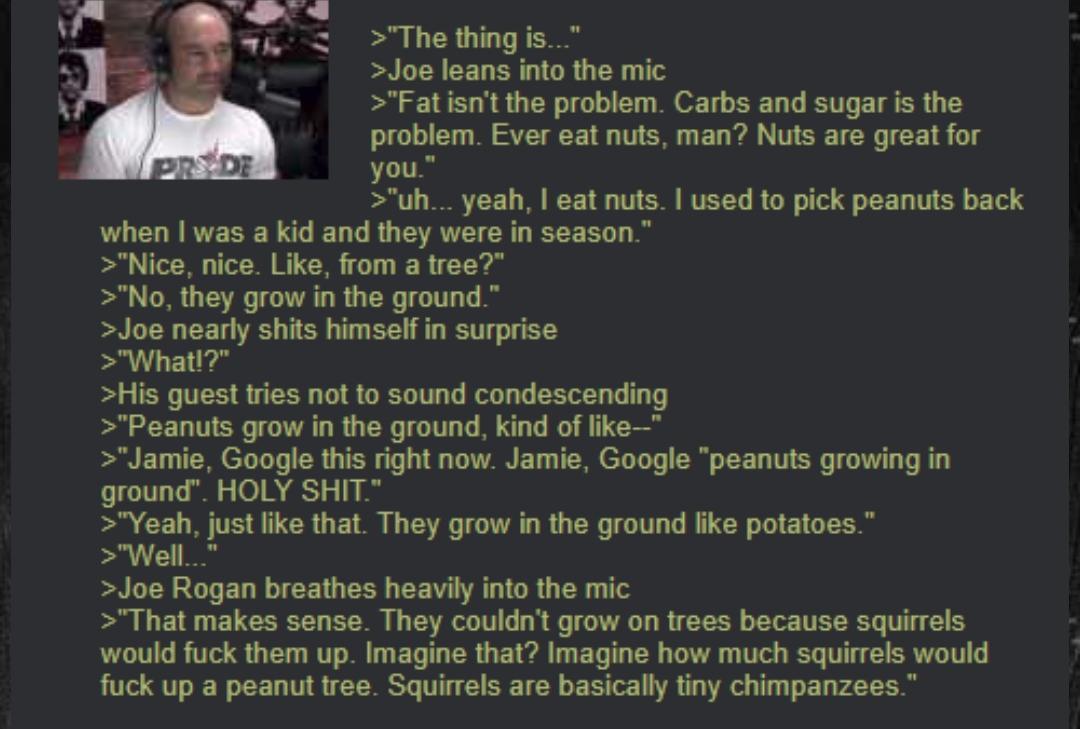 Joe spittin nut facts /r/Greentext Greentext Stories.