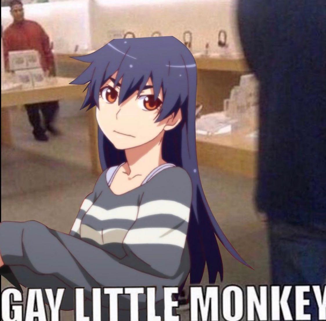 Kanbaru gay little monkey Gay Little Monkey Boy At Apple Store Know Your Meme
