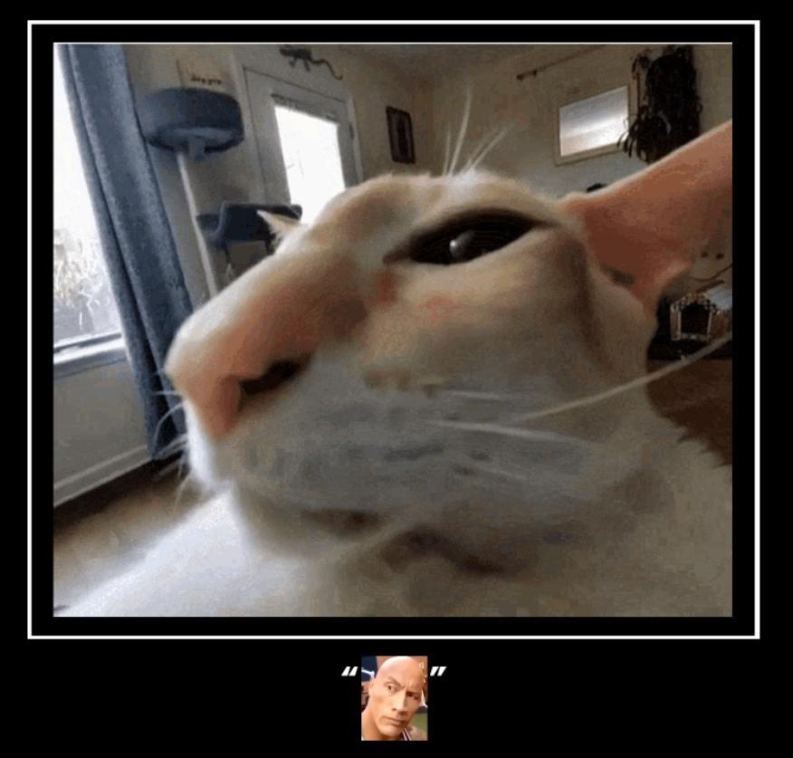 Eyebrow Raise Cat Emoji Demotivationals Know Your Meme