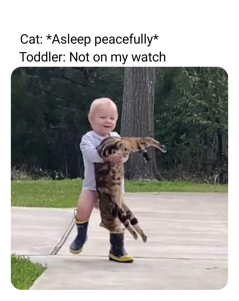 Explains why cats hate kids /r/dankmemes Know Your Meme