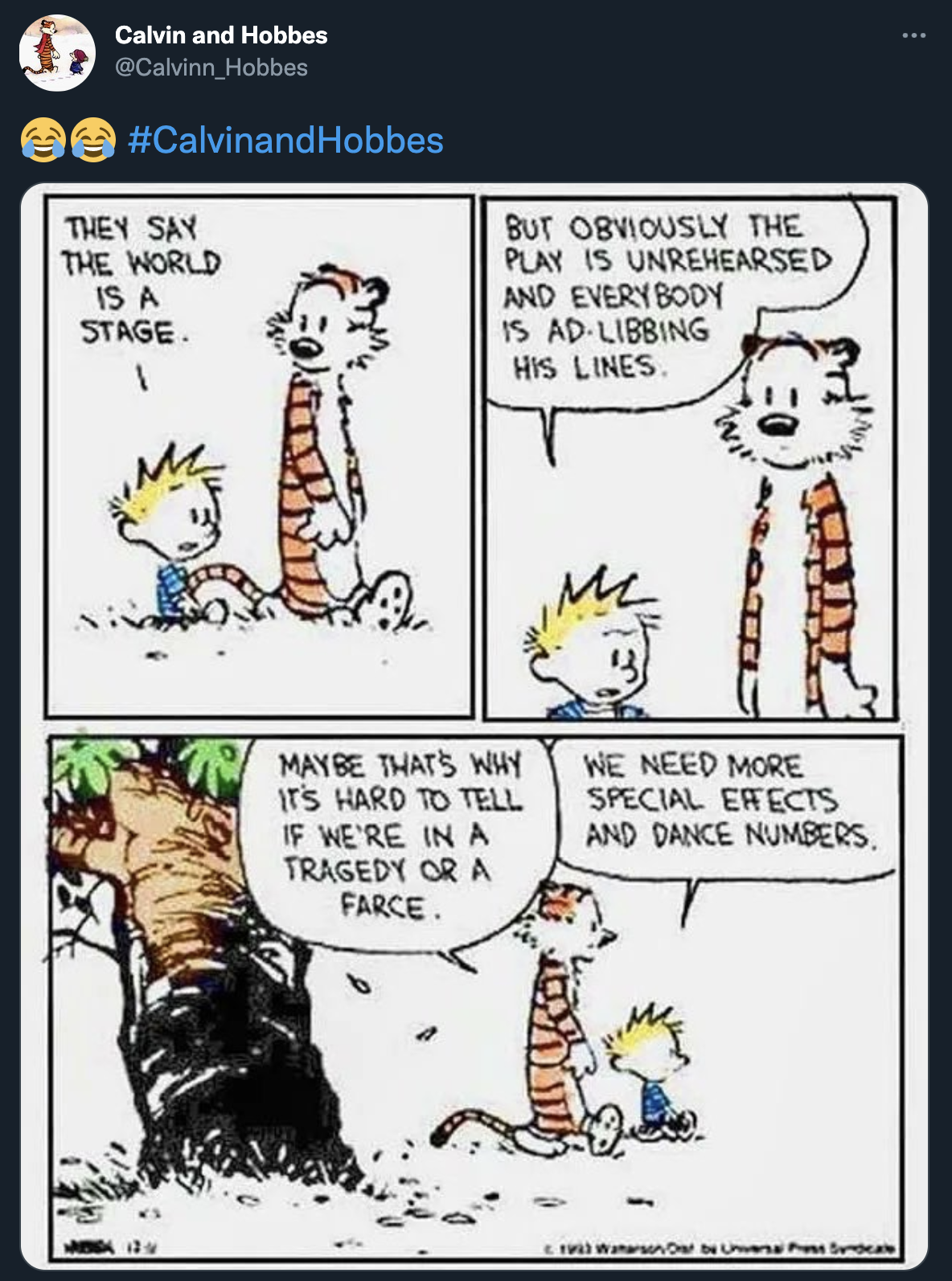 Childlike Calvin and Hobbes Know Your Meme