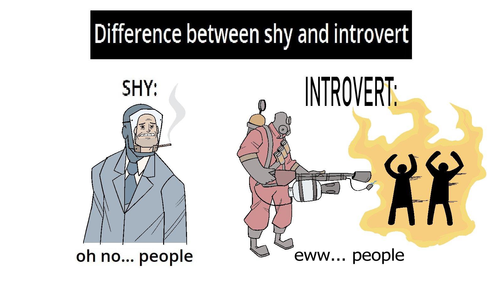 team-fortress-2-difference-between-shy-and-introvert-know-your-meme