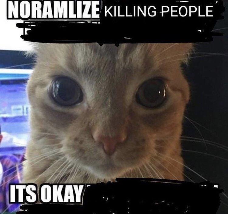 Normalize Killing People It's Okay Normalize X Know Your Meme