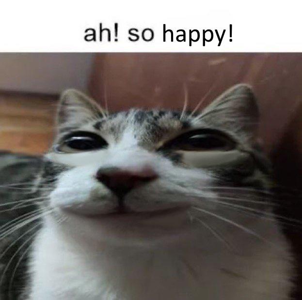 So Happy Meme : Happy Thursday GIFs – EEUVG
