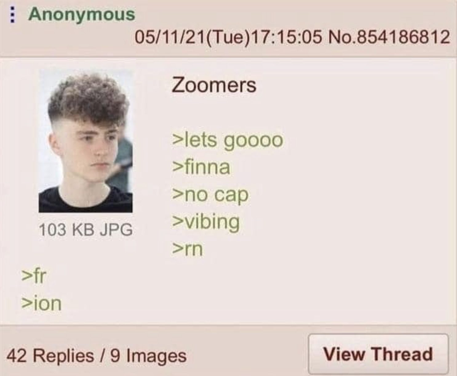 Chillin' No Cap | Bird's Nest Haircut / Broccoli Haircut / Zoomer Perm |  Know Your Meme