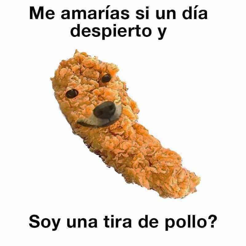 pollo-r-okbuddyretard-okbuddyretard-know-your-meme