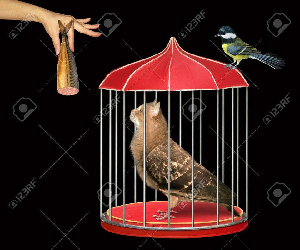 Science Has Gone Too Far Know Your Meme