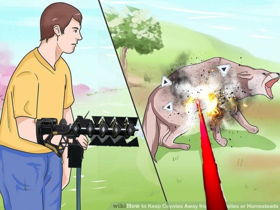 gambit weapons Wikihow Dog Sprayed By Hose Know Your Meme