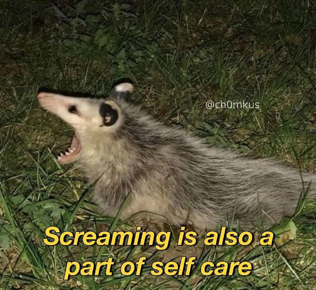 Screaming is also part of self care Possums Know Your Meme