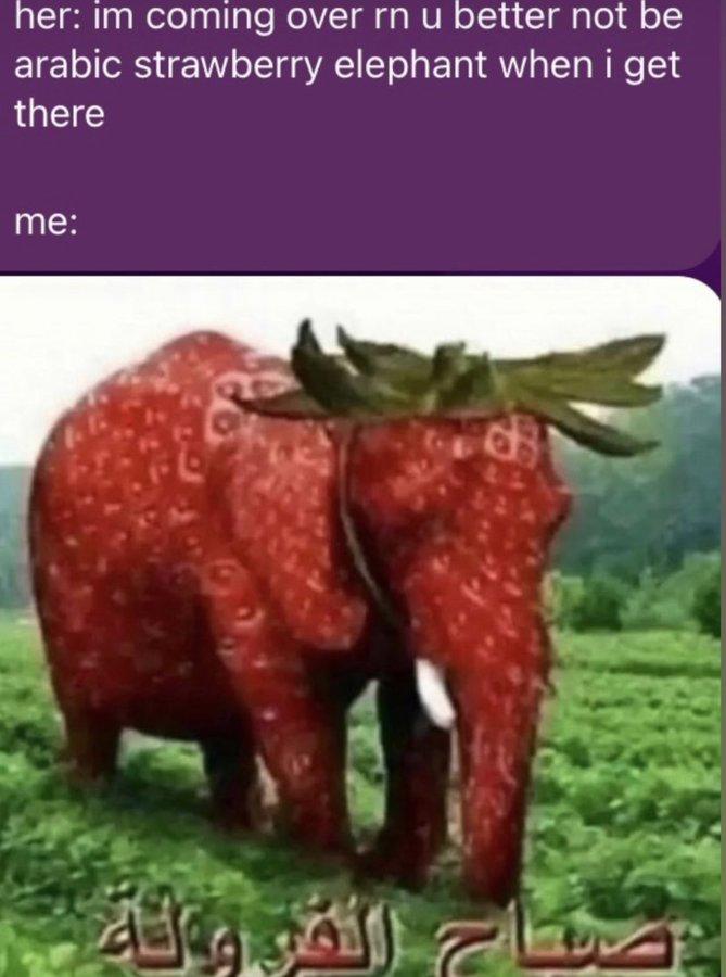im coming over rn u better not be arabic strawberry elephant when i get ...