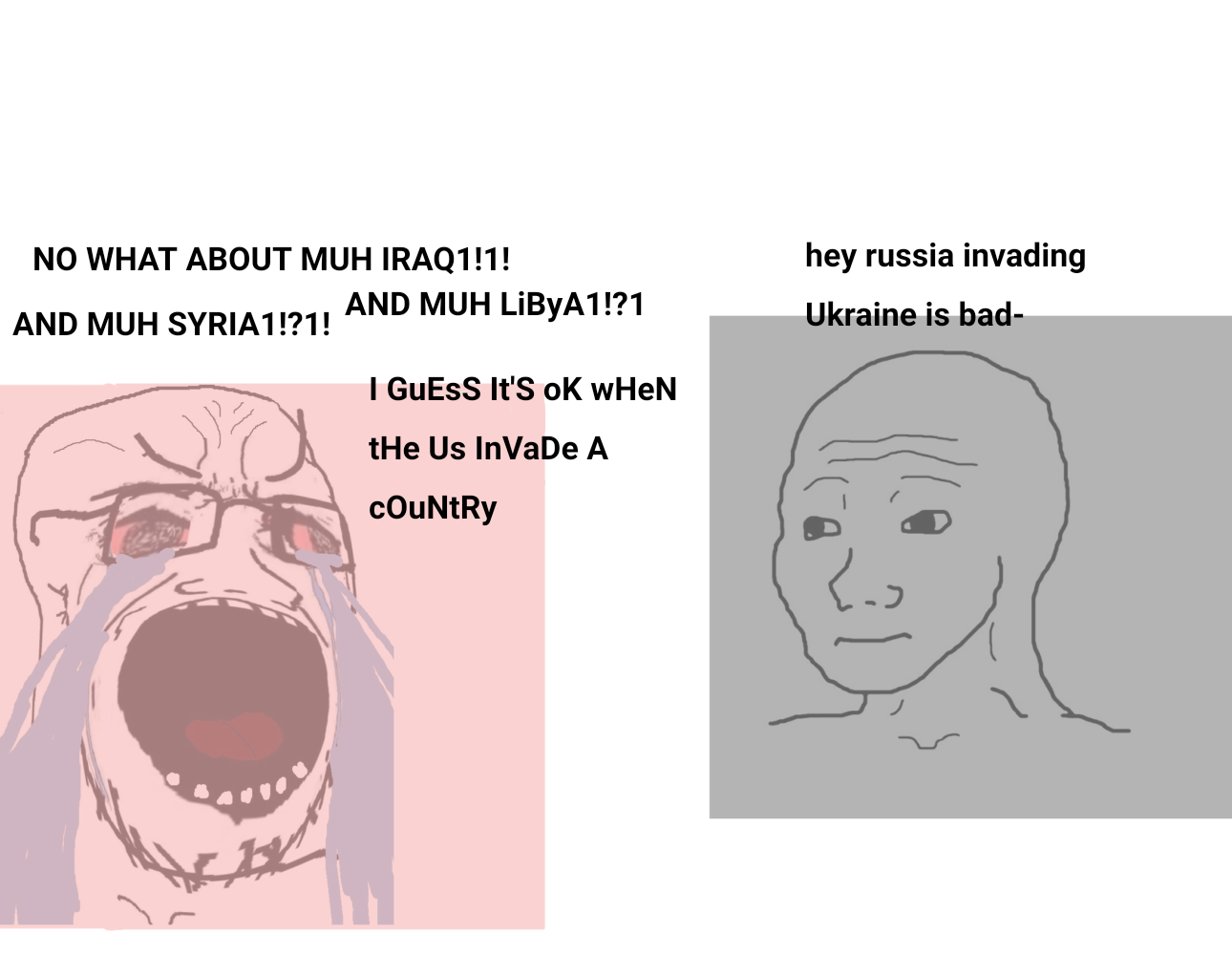 Fuck people online defending the invasion with they're shitty strawman