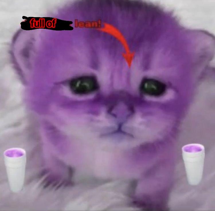 Full of Lean Smol Version Full of Soup Cat Know Your Meme