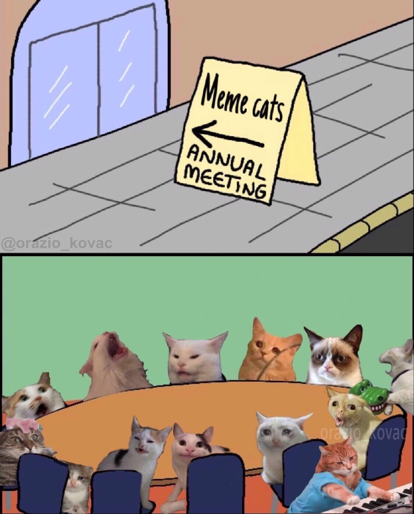 Meme Cats Annual Meeting Unhated Nations Know Your Meme