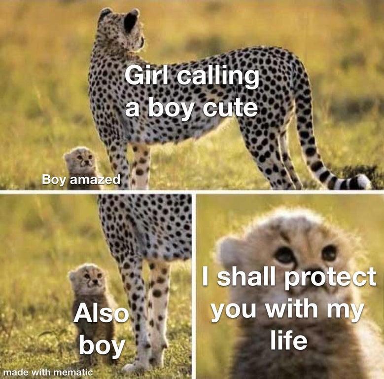 cheetah Cheetah and Cub Know Your Meme
