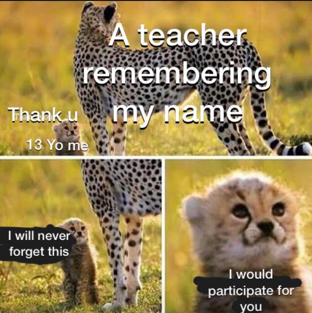 cheetah Cheetah and Cub Know Your Meme