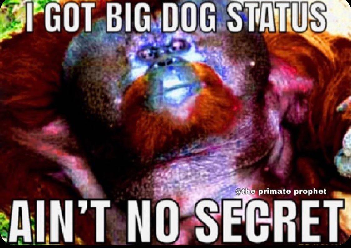 ape with big dog status Big Dog Status Know Your Meme