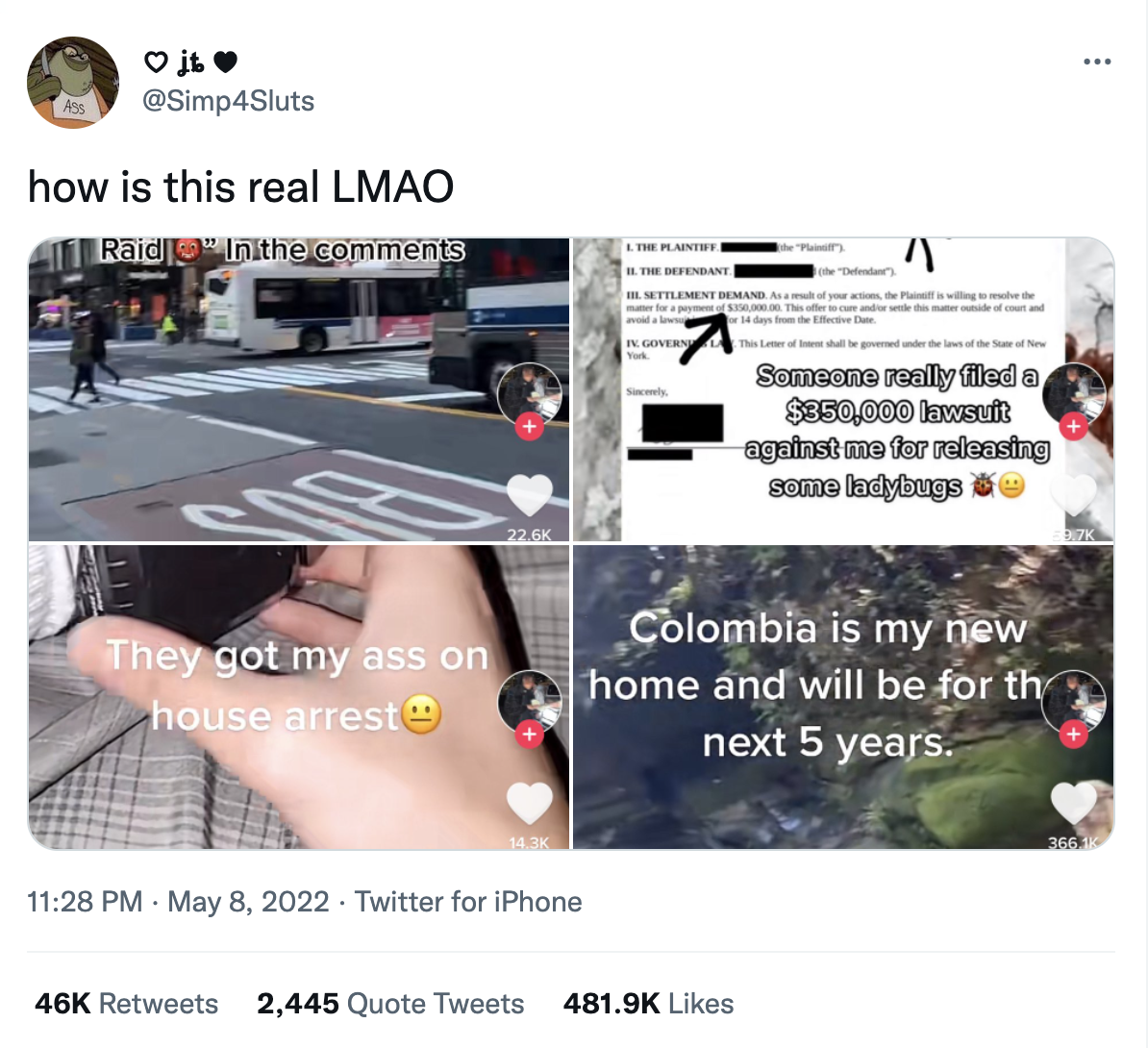 LadyBug Raid TikTok Ladybug Raid Know Your Meme