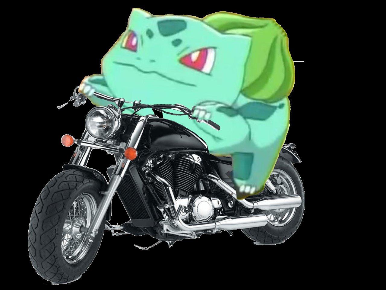 Motorcycle Bulbasaur Strikes Again Pokémon Know Your Meme