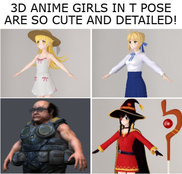 3D anime T pose Anime Girls Comparison Parodies Know Your Meme