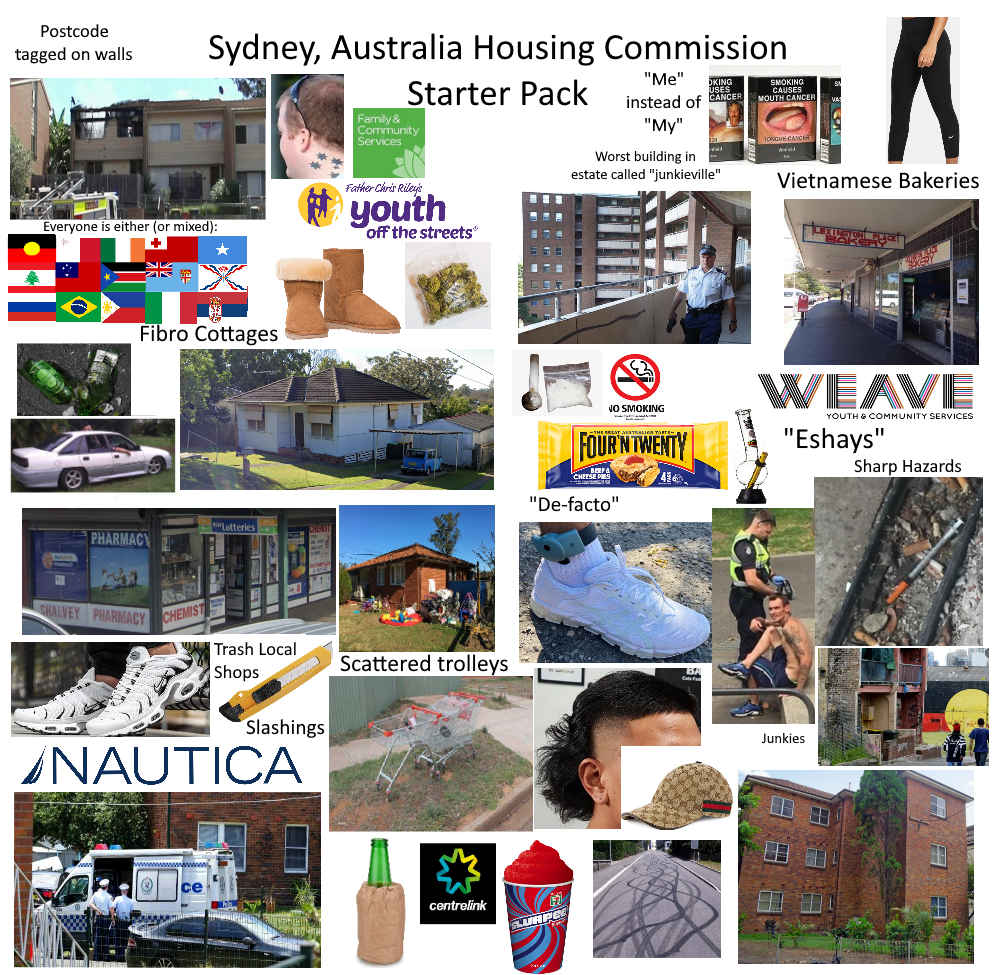 Housing Commission (Public Housing) Estate in Sydney Australia Starter