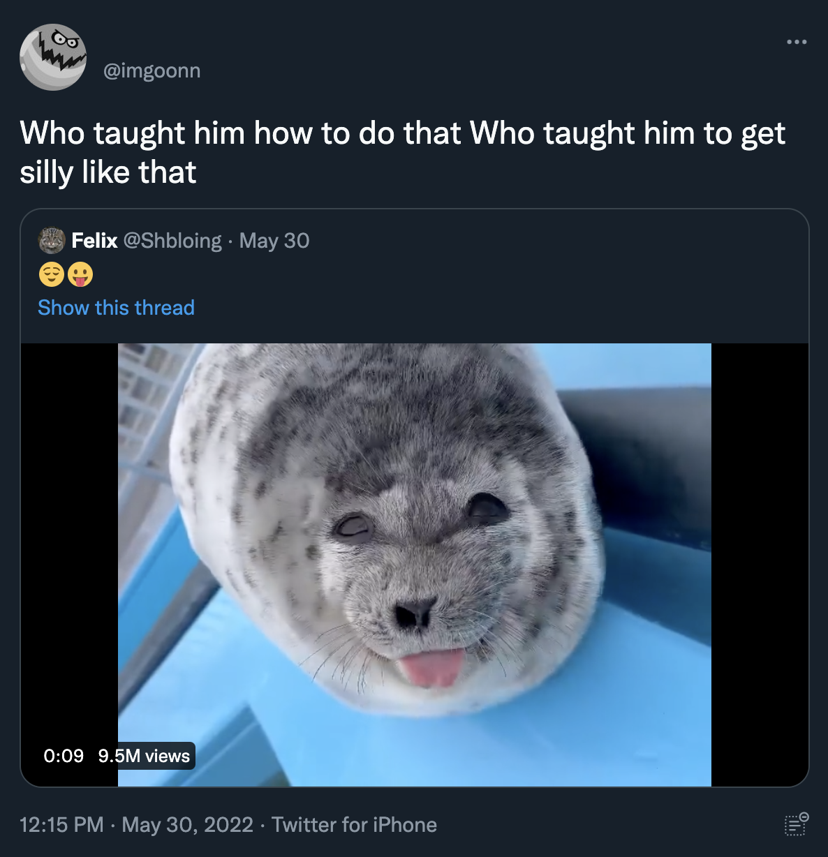 Smiling And Winking Baby Seal Sticking Its Tongue Out (meme) Silly