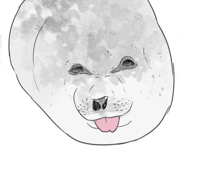 Smiling And Winking Baby Seal Sticking Its Tongue Out (meme) Smiling