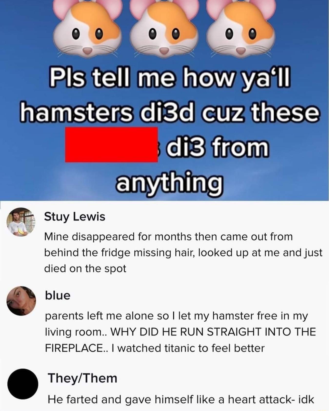 Hamster Death (meme) Hamster Death Stories Know Your Meme