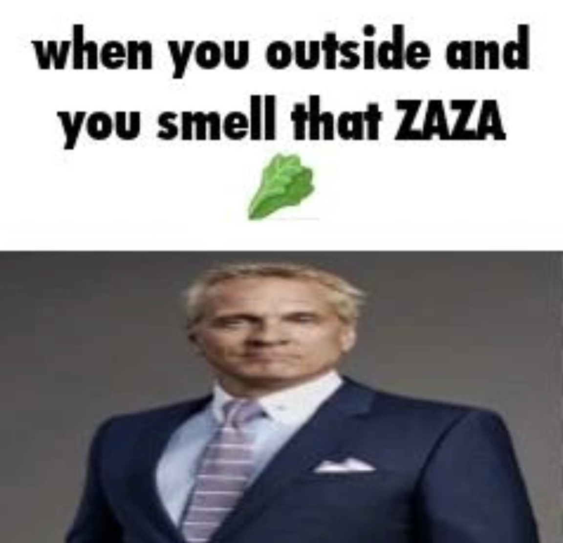 When You Outside And You Smell That Zaza (meme) When You Outside And