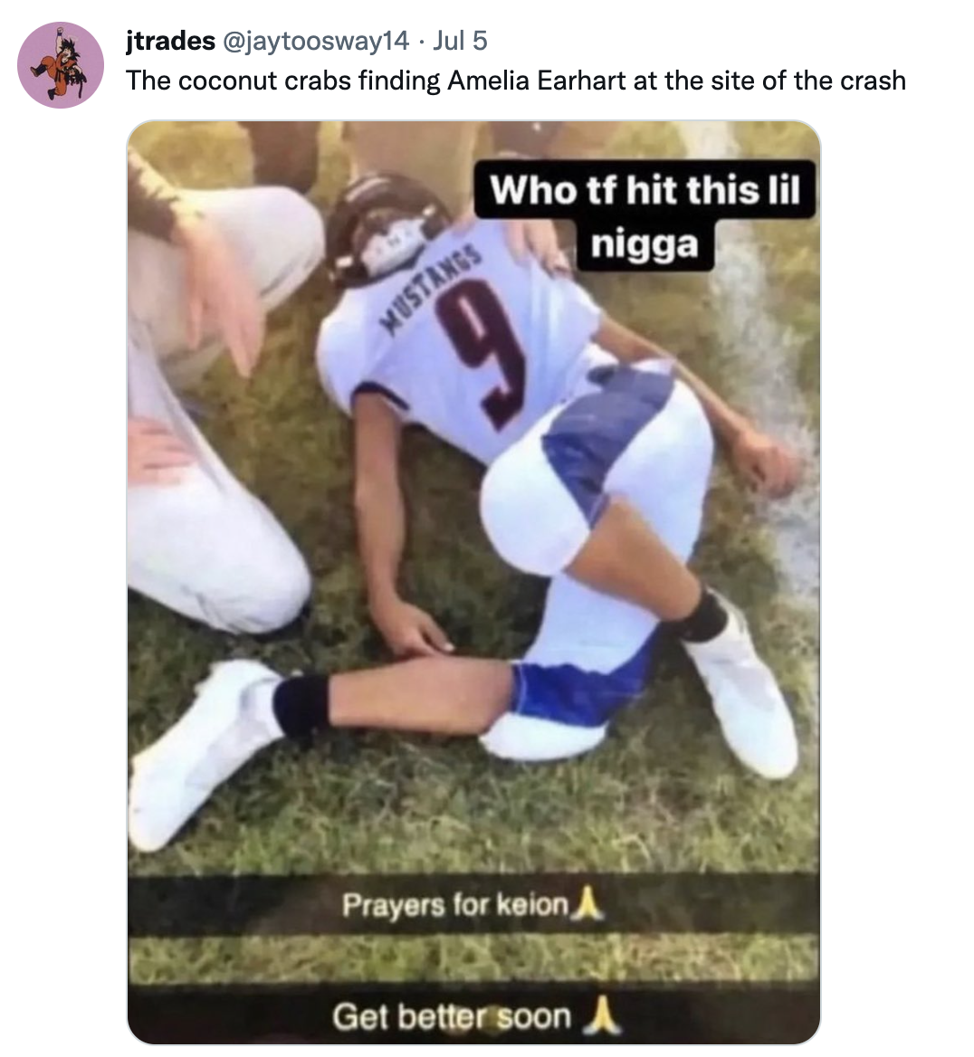 Amelia Earhart Coconut Crabs (meme) Amelia Earhart Eaten By Coconut