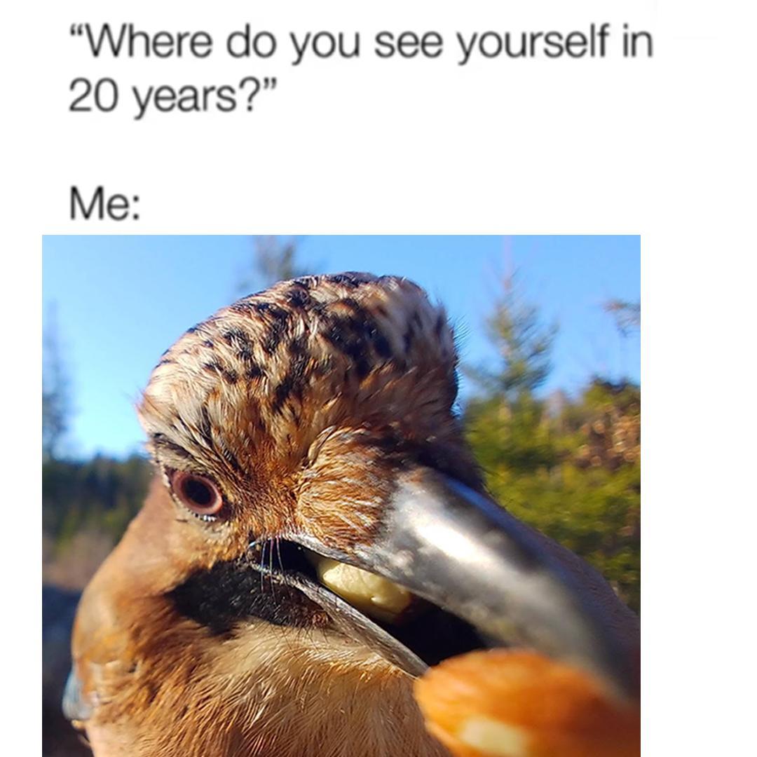 Invest in earplugs /r/MemeEconomy Know Your Meme