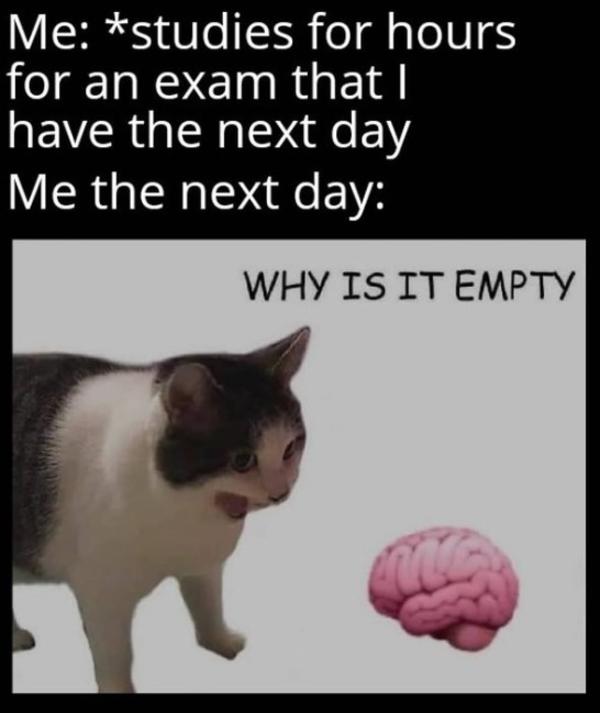 why is it empty after studying | Why Is It Empty? | Know Your Meme