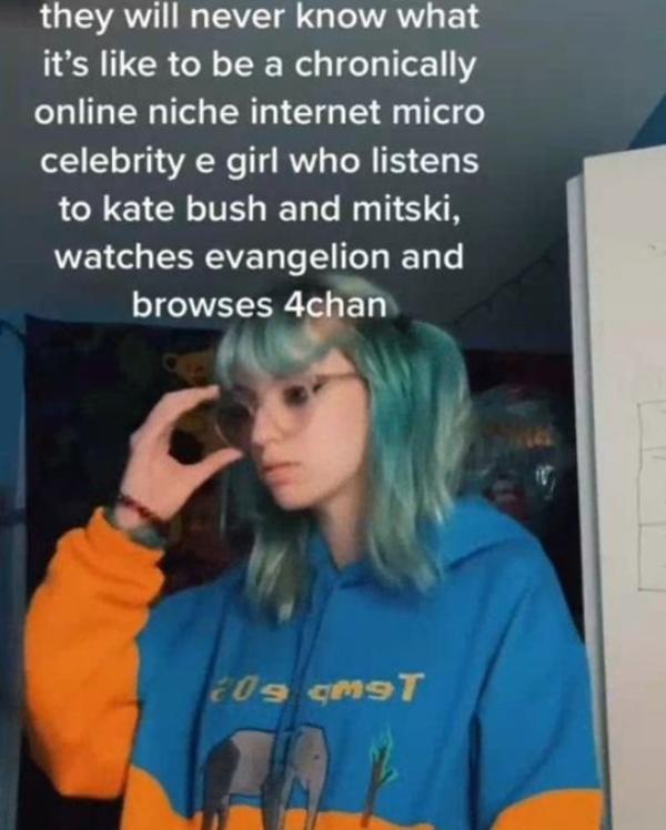 they will never know Chronically Online Know Your Meme