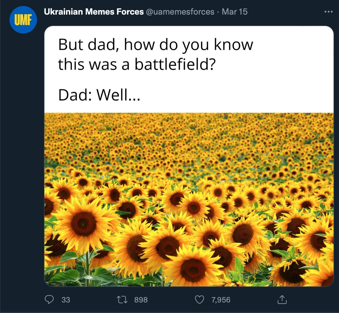 Sunflower Seeds In Pockets Ukrainian Memes Forces Know Your Meme