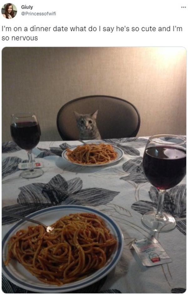 I'm on a dinner date what do I say he's so cute and I'm so nervous