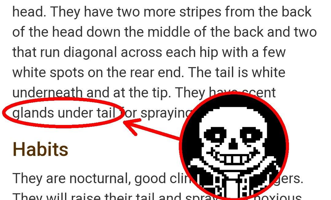 Sans Undertale Glands Under Tail (meme) Name Soundalikes Know Your Meme