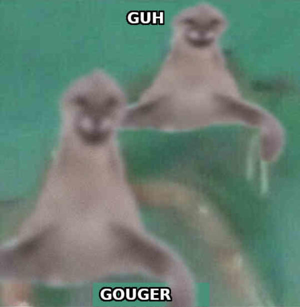 guh.. gouger Utah Hiker Cougar Encounter / Gougar Know Your Meme