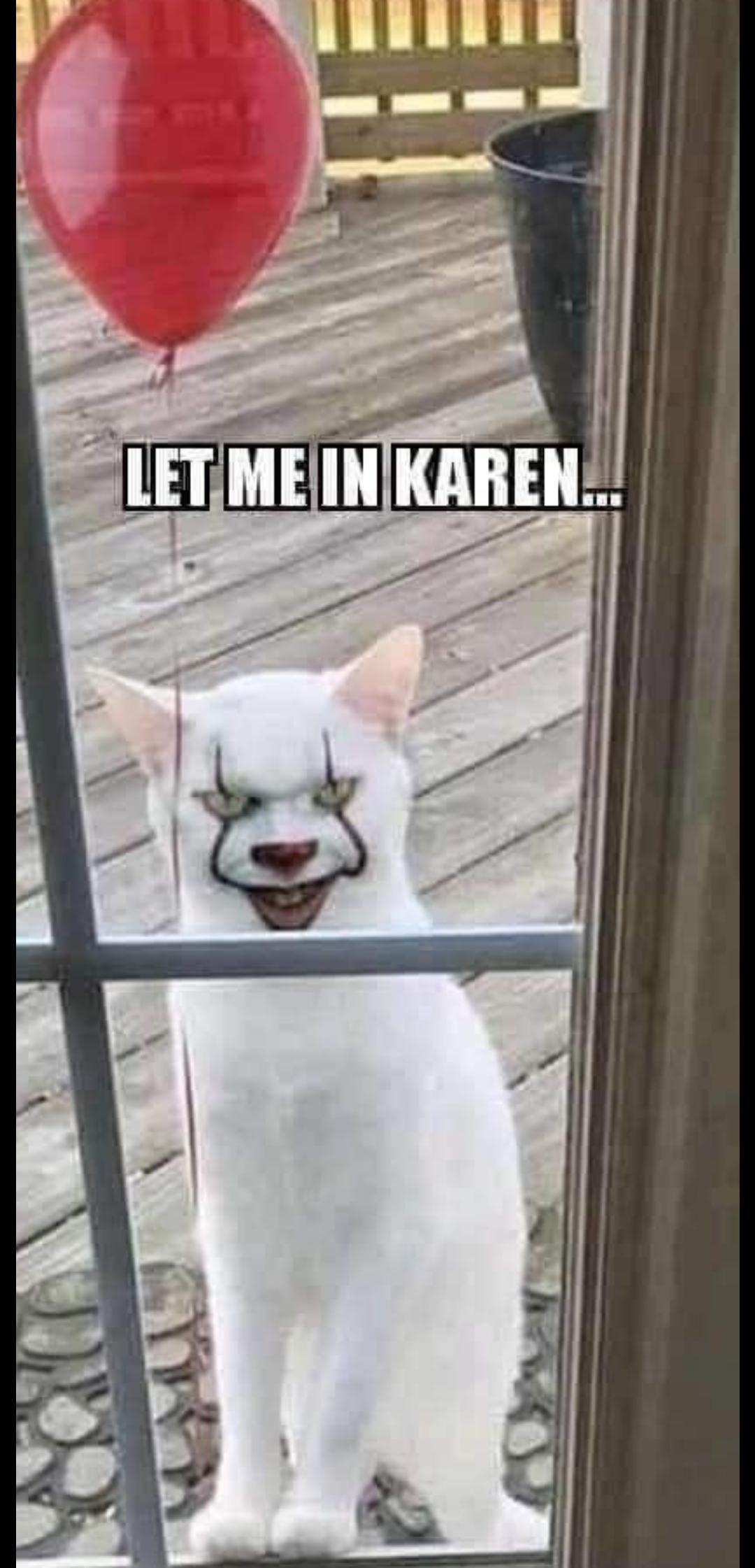 Knock Knock r Karen Karen Know Your Meme knock-knock-r-karen-karen-know-your-meme