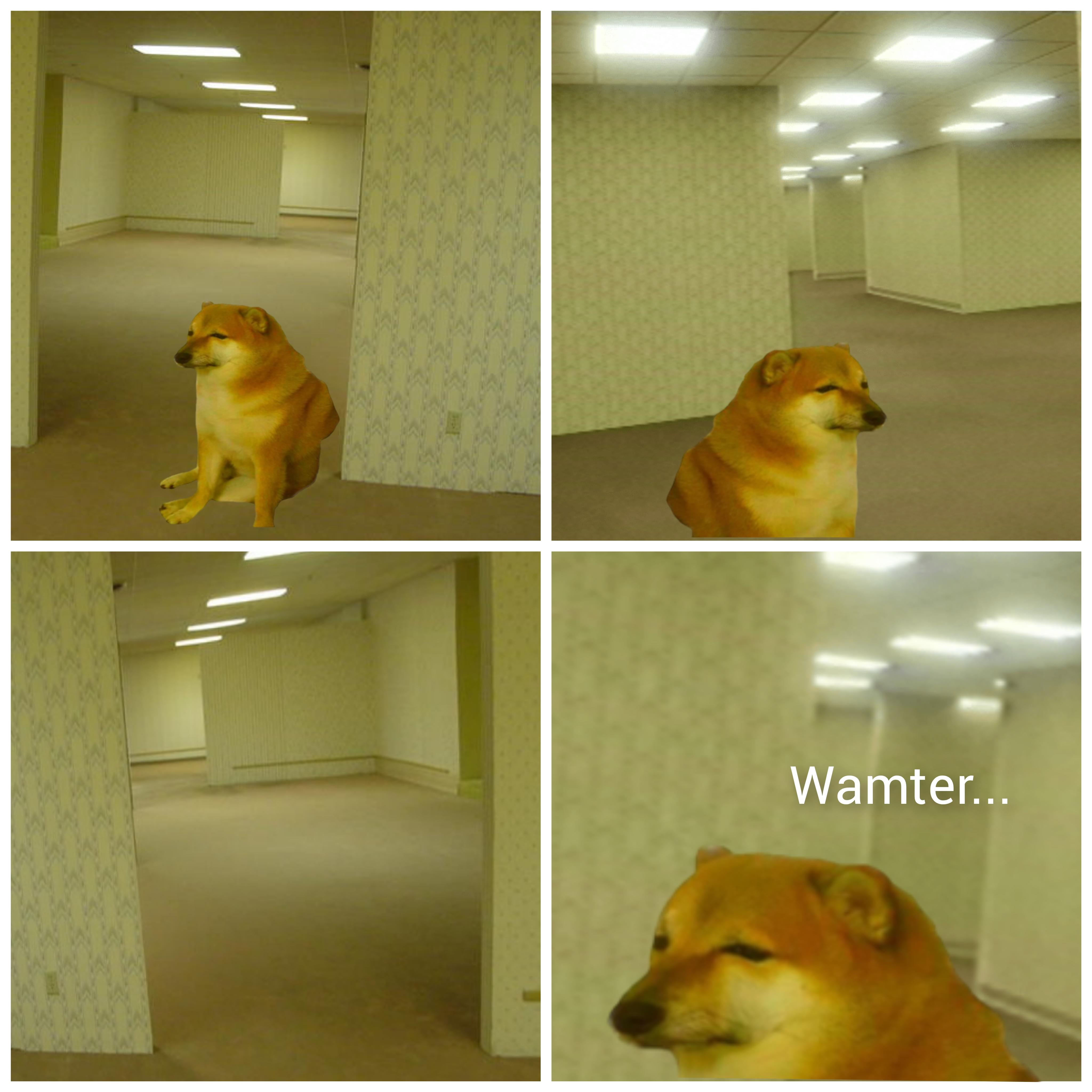Some Doge Help Cheems Get some water | /r/dogelore | Ironic Doge Memes | Know ...