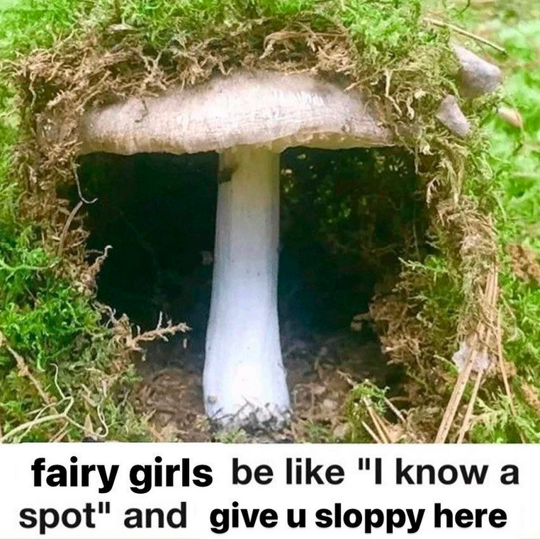 Ain t It True I Know A Spot Know Your Meme
