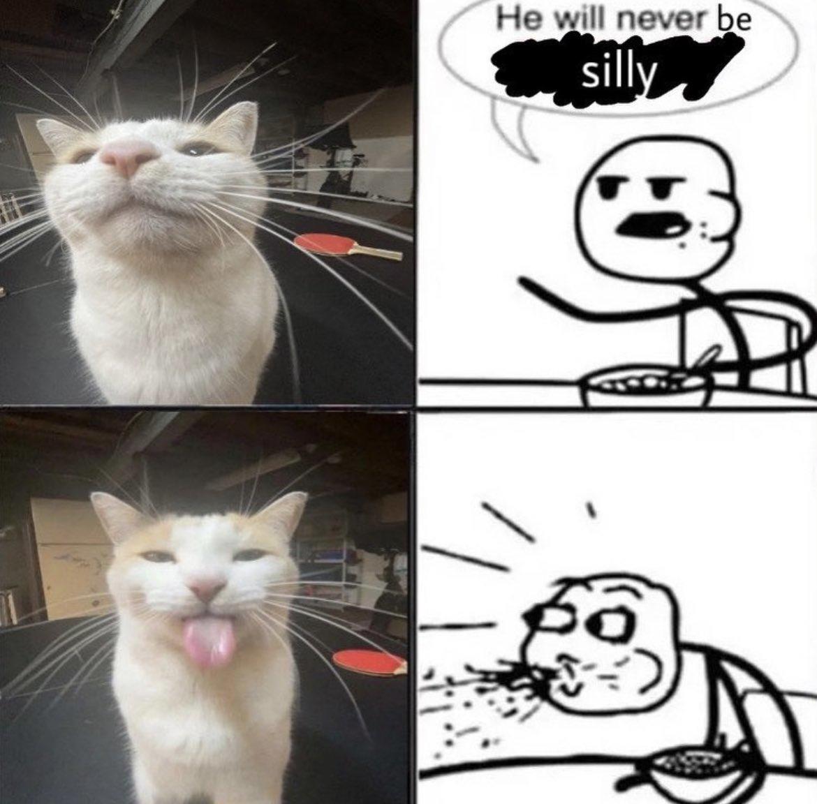 He Will Never Be Silly Blehhhhh P Cat Know Your Meme 8844