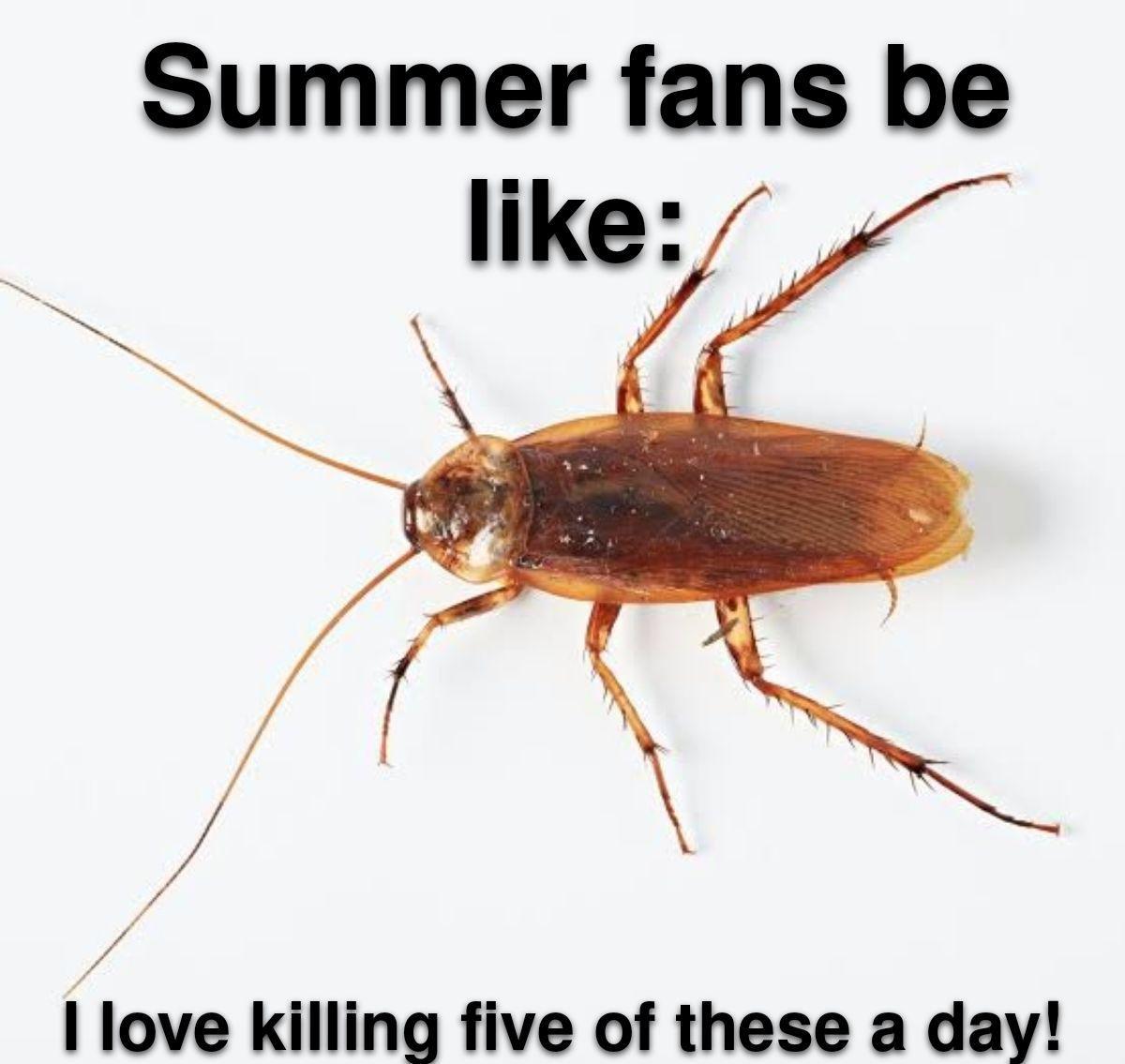 fucking roaches /r/memes Know Your Meme