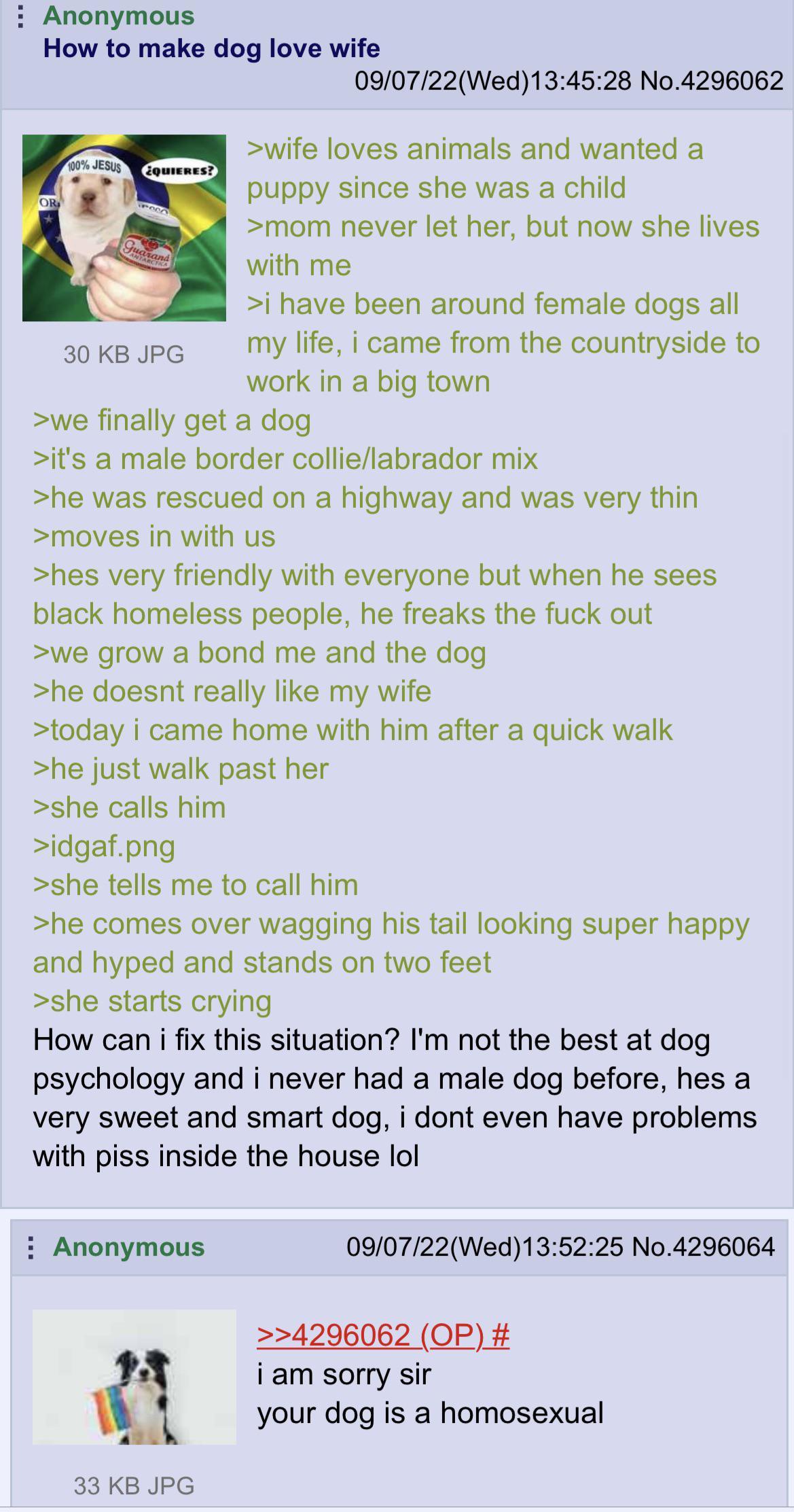 Anon makes a special bond with his dog /r/Greentext Greentext