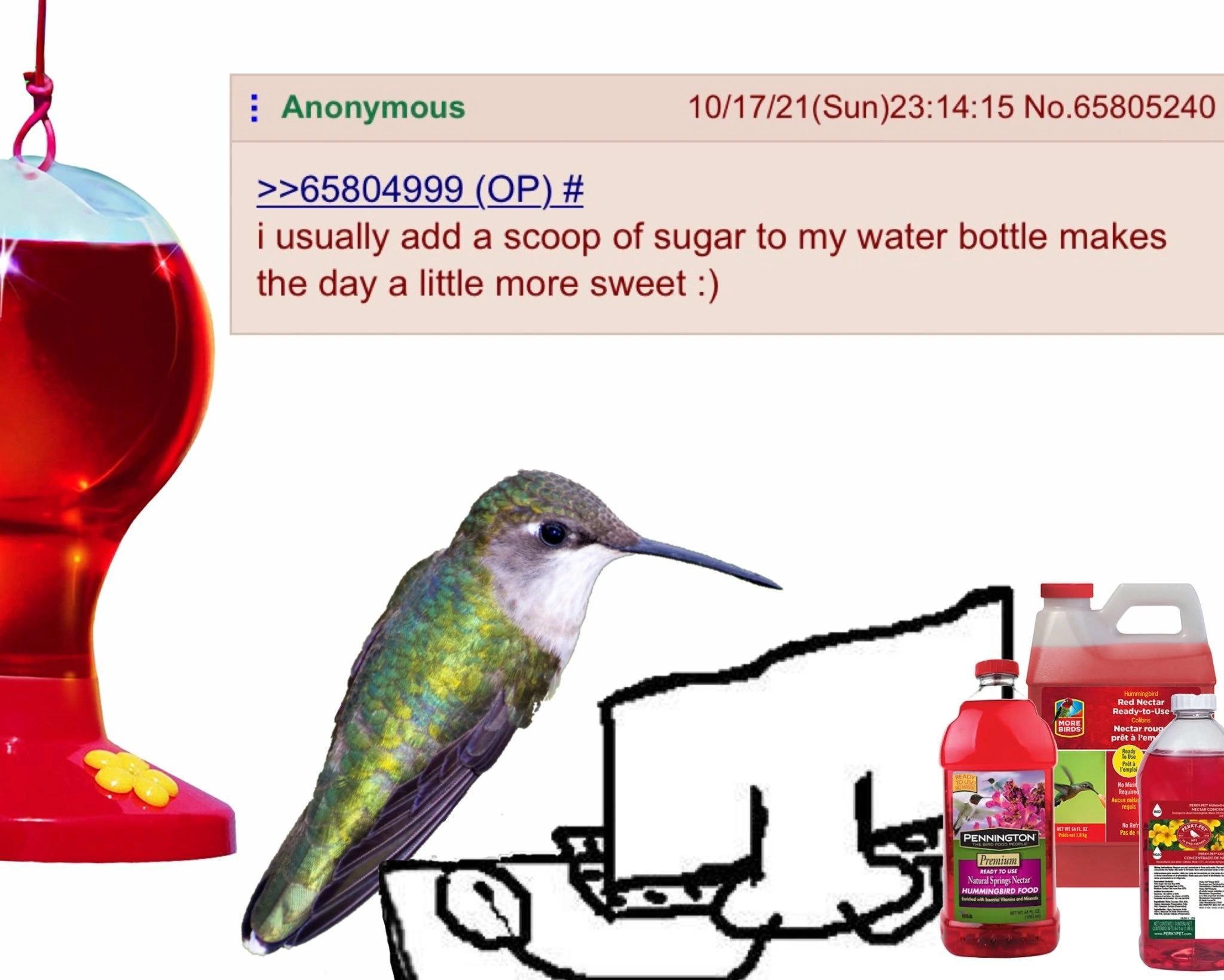 Anon is hummingbird /r/Greentext Greentext Stories Know Your Meme