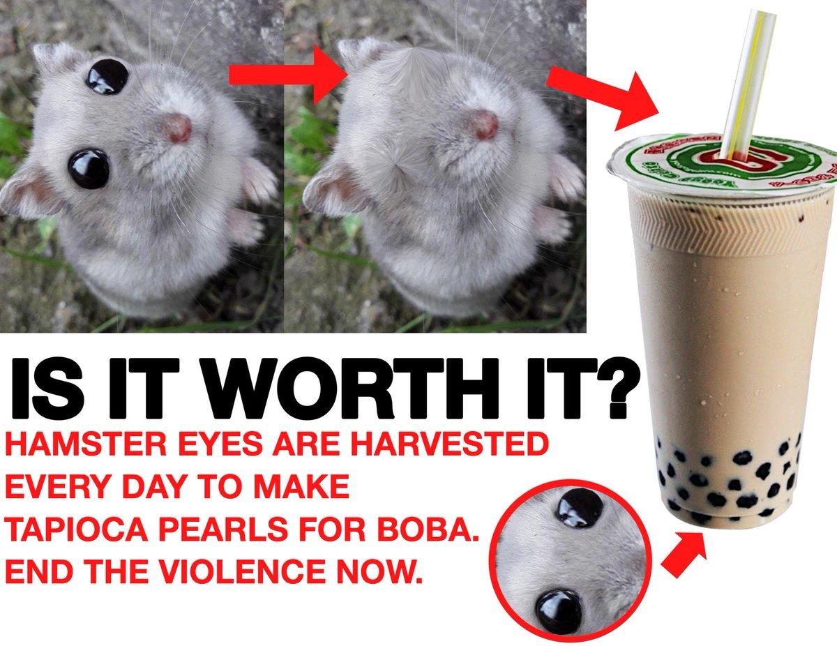 Is It Really Worth It? Boba Tea Meme Is It Really Worth It? Know