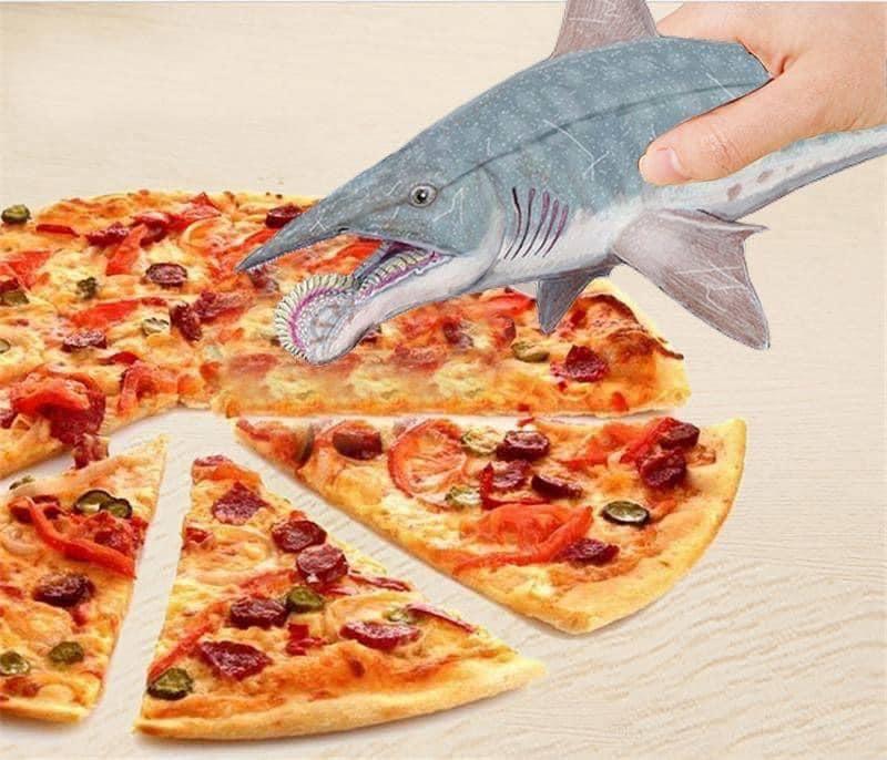 Outdated 'pizza cutter shark' Helicoprion interpreted literally