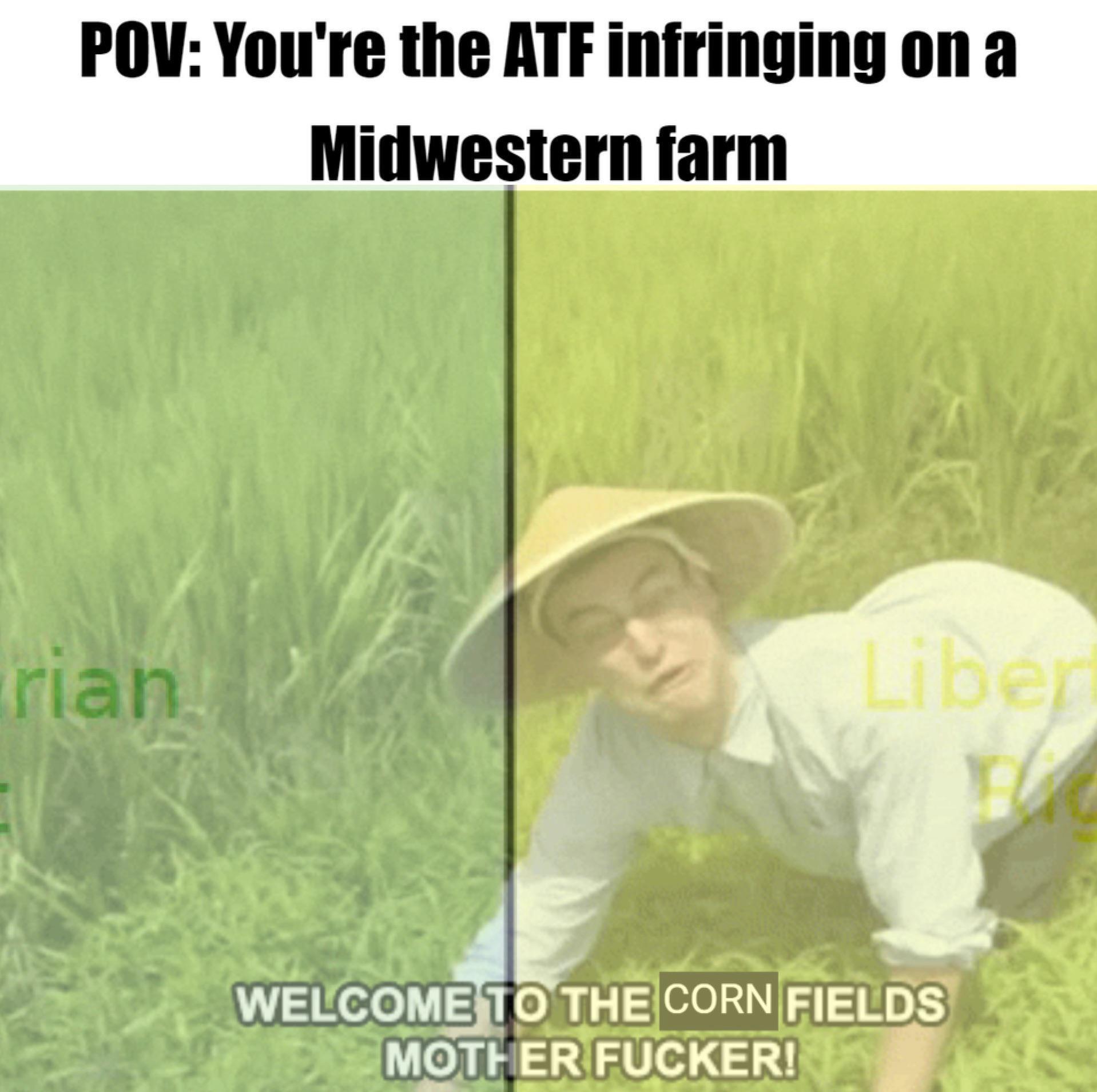 “Alexa, play Copperhead road” Political Compass Know Your Meme