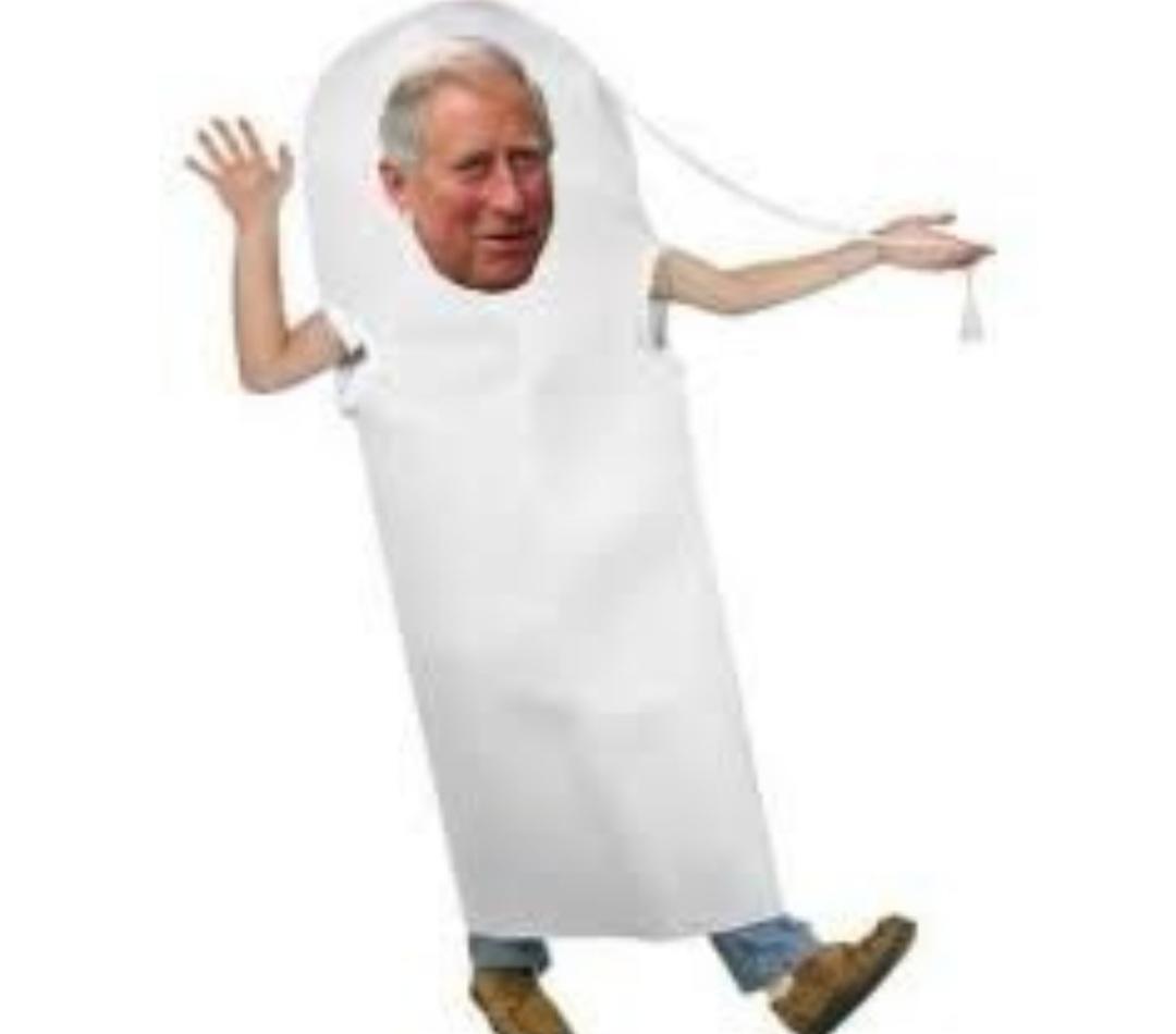 King Charles is a Tampon now Camillagate / Tampongate / Prince